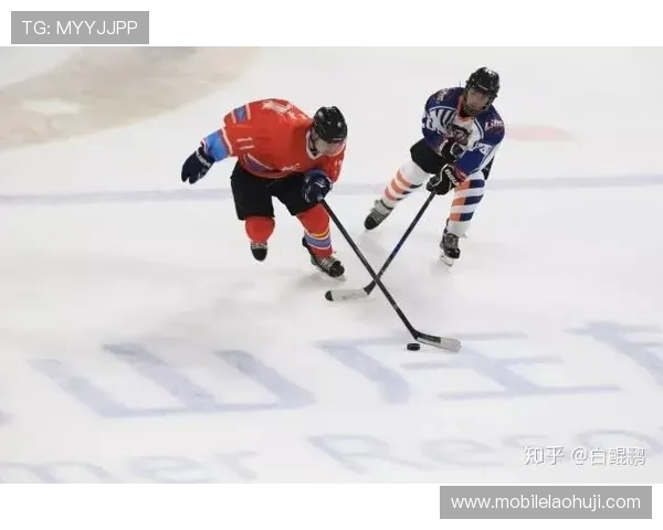 冰球突破豪华版网站玩家评价与口碑分析助你选择优质平台