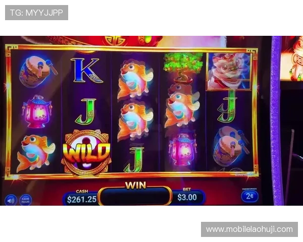 2024年最新老虎机单机版下载安装攻略,助你快速开启娱乐之旅 2024年最新老虎机单机版下载安装攻略,助你快速开启娱乐之旅